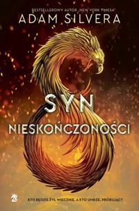 Syn nieskończoności. Cykl Krąg Nieskończoności. Tom 1 - Adam Silvera - ebook + książka