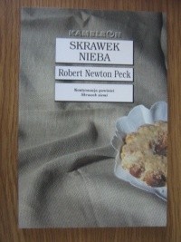 Skrawek nieba - Robert Newton Peck - ebook