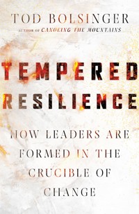 Tempered Resilience - Tod Bolsinger - ebook