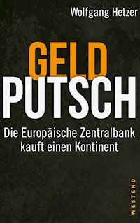 Geldputsch - Wolfgang Hetzer - ebook