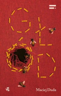 Głód - Maciej Duda - książka