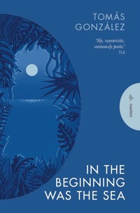 In the Beginning Was the Sea - Tomás González - ebook