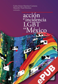Acción colectiva e incidencia LGBT en México - Alejandro Natal Martínez - ebook