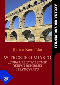 W trosce o miasto - Kamińska Renata - książka