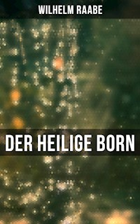 Der heilige Born - Wilhelm  Raabe - ebook