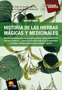 Historia de las Hierbas Mágicas y Medicinales - Mar Rey Bueno - ebook