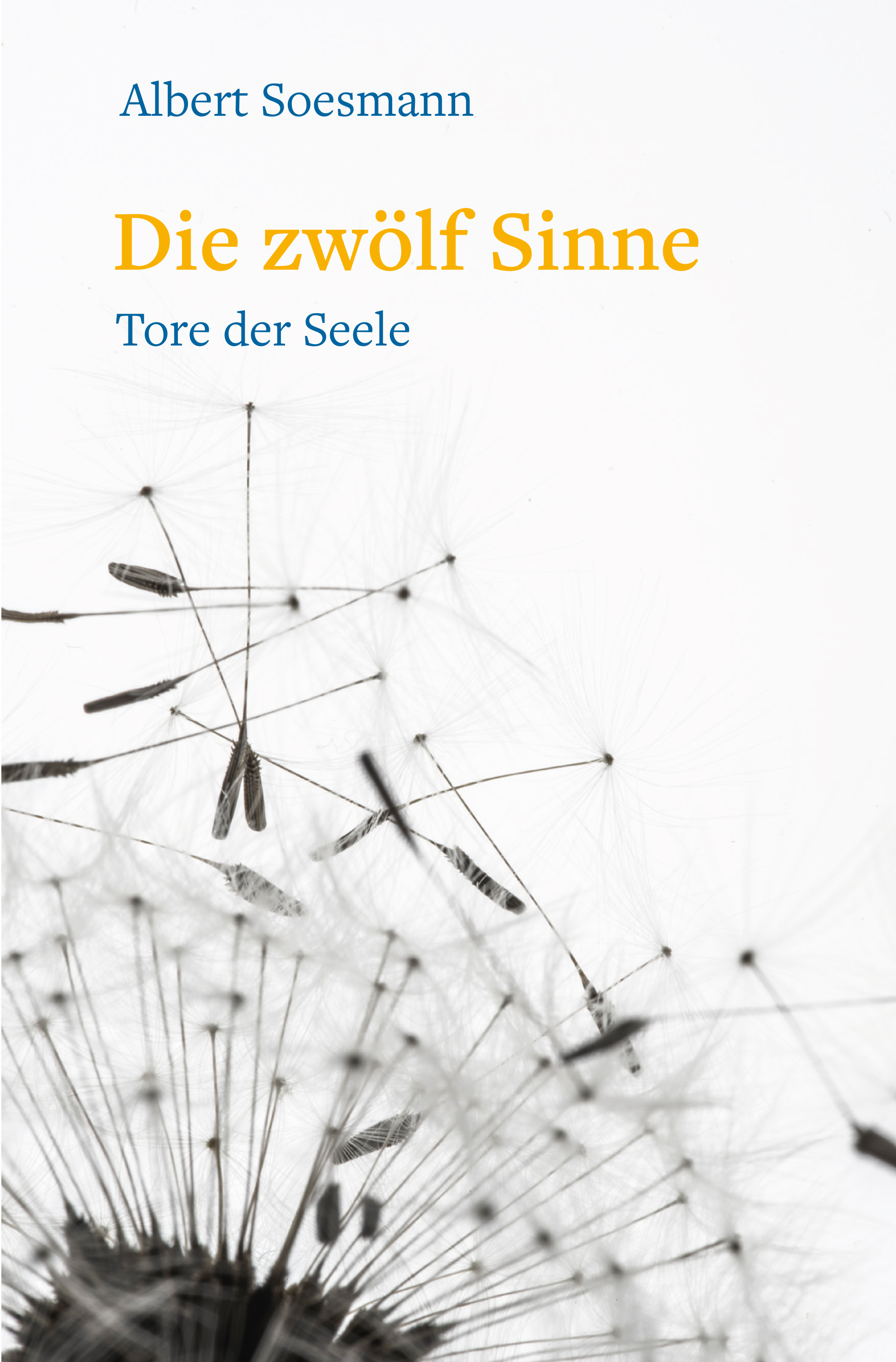 Die zwölf Sinne – Tore der Seele - Albert Soesman - ebook