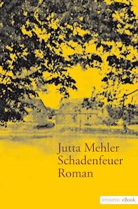 Schadenfeuer - Jutta Mehler - ebook