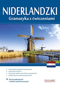 Niderlandzki Gramatyka z ćwiczeniami - Wiercińska Katarzyna - książka