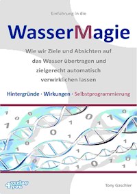 Einführung in die Wassermagie - Tony Gaschler - ebook