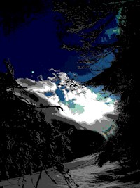 Einer anderen Zukunft wegen - Veronika Wlasaty - ebook