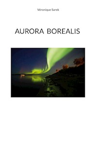 Aurora Borealis - Véronique Sarek - ebook