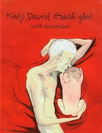 Kiedy Dawid stracił głos - Vanistendael Judith - książka