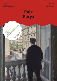 Palę Paryż - Bruno Jasieński - ebook