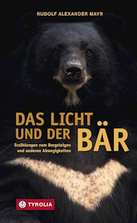 Das Licht und der Bär - Rudolf Alexander Mayr - ebook