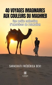 40 voyages imaginaires aux couleurs du Maghreb - Sarasvati Frédérica Devi - ebook