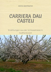 CARRIERA DAU CASTEU - verena aeschbacher - ebook