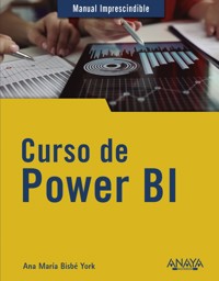 Curso de Power BI - Ana María Bisbé York - ebook