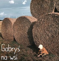 Gabryś na wsi - Starok Agnieszka - książka