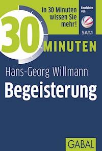 30 Minuten Begeisterung - Hans-Georg Willmann - ebook
