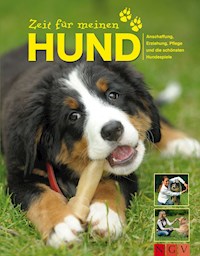 Zeit für meinen Hund - Jennifer Willms - ebook