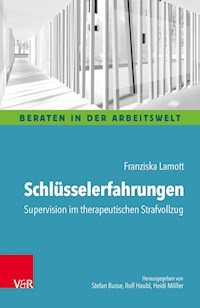 Schlüsselerfahrungen: Supervision im therapeutischen Strafvollzug - Franziska Lamott - ebook