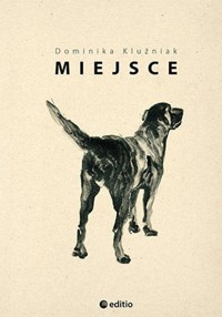 Miejsce - Kluźniak Dominika - ebook + książka