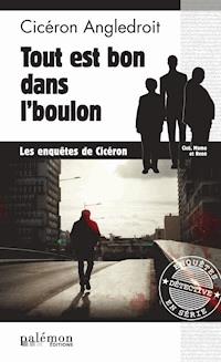Tout est bon dans l’boulon - Cicéron Angledroit - ebook