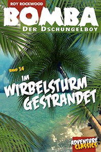 Bomba im Wirbelsturm gestrandet - Roy Rockwood - ebook