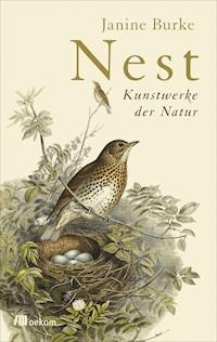 Nest - Janine Burke - ebook