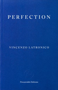 Perfection - Latronico Vincenzo - ebook