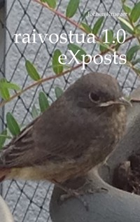 raivostua 1.0 - Jochen Krueger - ebook