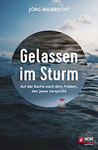 Gelassen im Sturm - Jörg Ahlbrecht - ebook