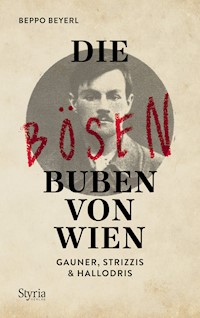 Die bösen Buben von Wien - Beppo Beyerl - ebook
