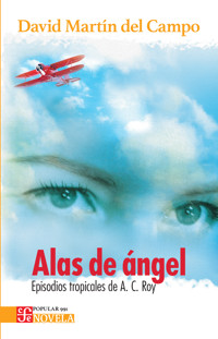 Alas de Ángel - David Martín del Campo - ebook