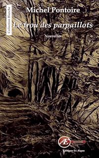 Le trou des parpaillots - Michel Pontoire - ebook