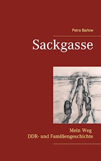 Sackgasse - Petra Barlow - ebook