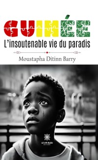 Guinée - Moustapha Ditinn Barry - ebook