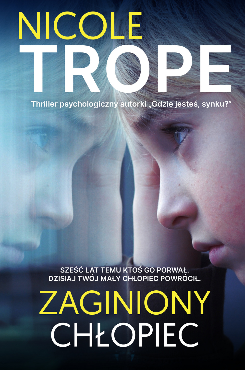 Zaginiony chłopiec - Nicole Trope - książka