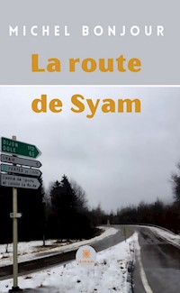La route de Syam - Michel Bonjour - ebook