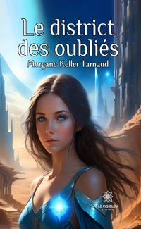 Le district des oubliés - Morgane Keller Tarnaud - ebook