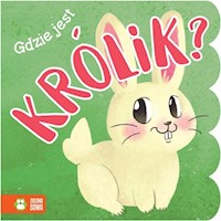 Gdzie jest królik? - Supeł Barbara - książka