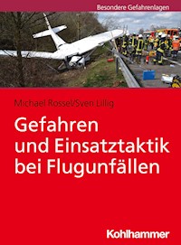 Gefahren und Einsatztaktik bei Flugunfällen - Sven Lillig - ebook