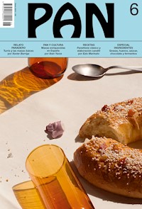 PAN 6 - VV. AA. - ebook