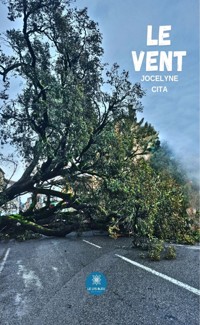 Le vent - Jocelyne Cita - ebook