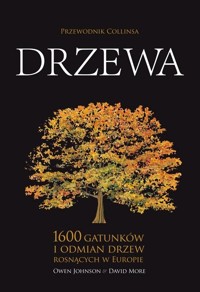 Drzewa. Przewodnik Collinsa - Owen Johnson, David More - książka