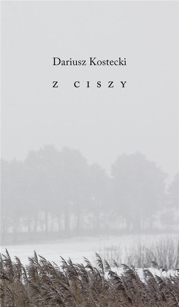 Z ciszy - Dariusz Kostecki - książka