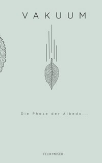 Vakuum - Felix Moser - ebook