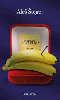 Neverend - Aleš Šteger - ebook