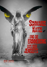 Schwarze Katze...und die Erinnerung aus dem Jenseits - Elvy Jansen - ebook